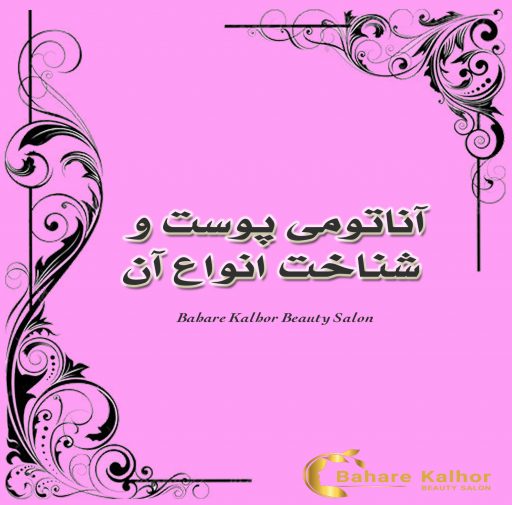 آناتومی پوست